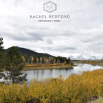 rachelredford-creativephotocomposite3